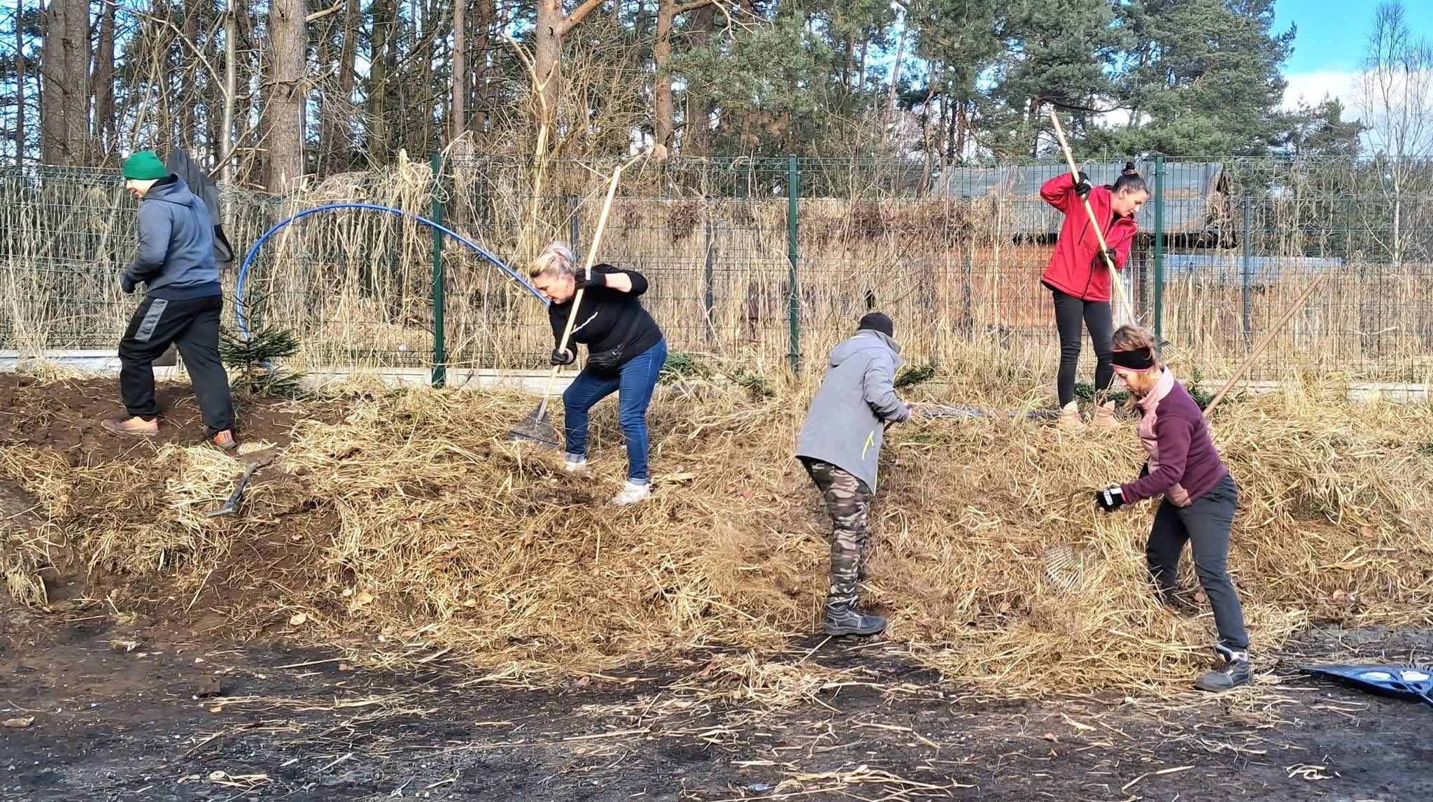 Wolontariusze pomagający w schronisku