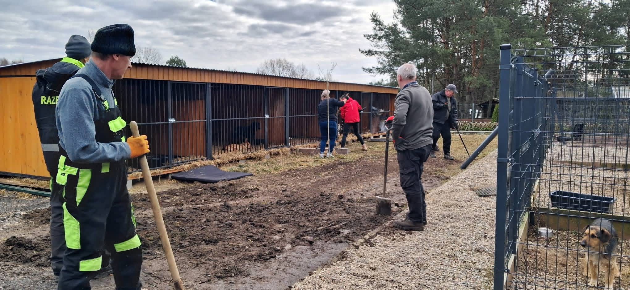 Wolontariusze pomagający w schronisku